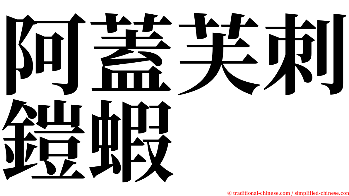 阿蓋芙刺鎧蝦 serif font