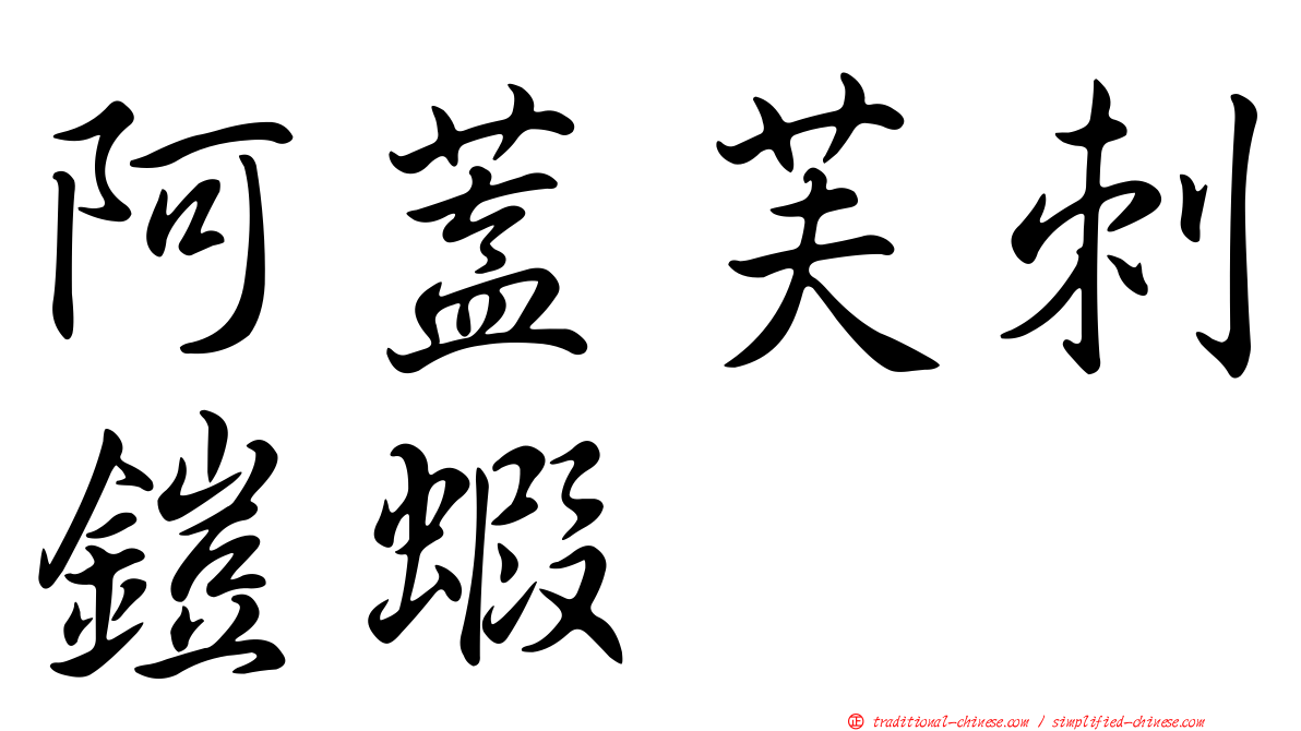 阿蓋芙刺鎧蝦