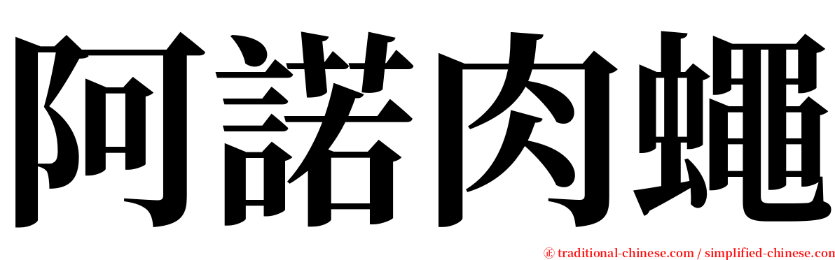 阿諾肉蠅 serif font