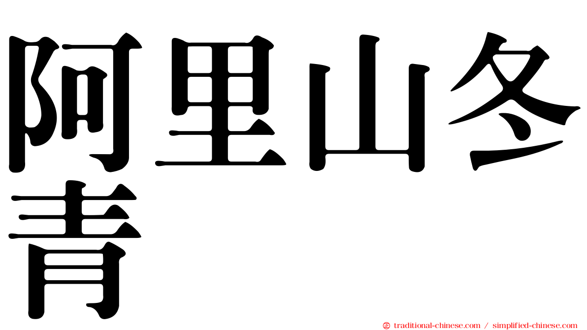 阿里山冬青