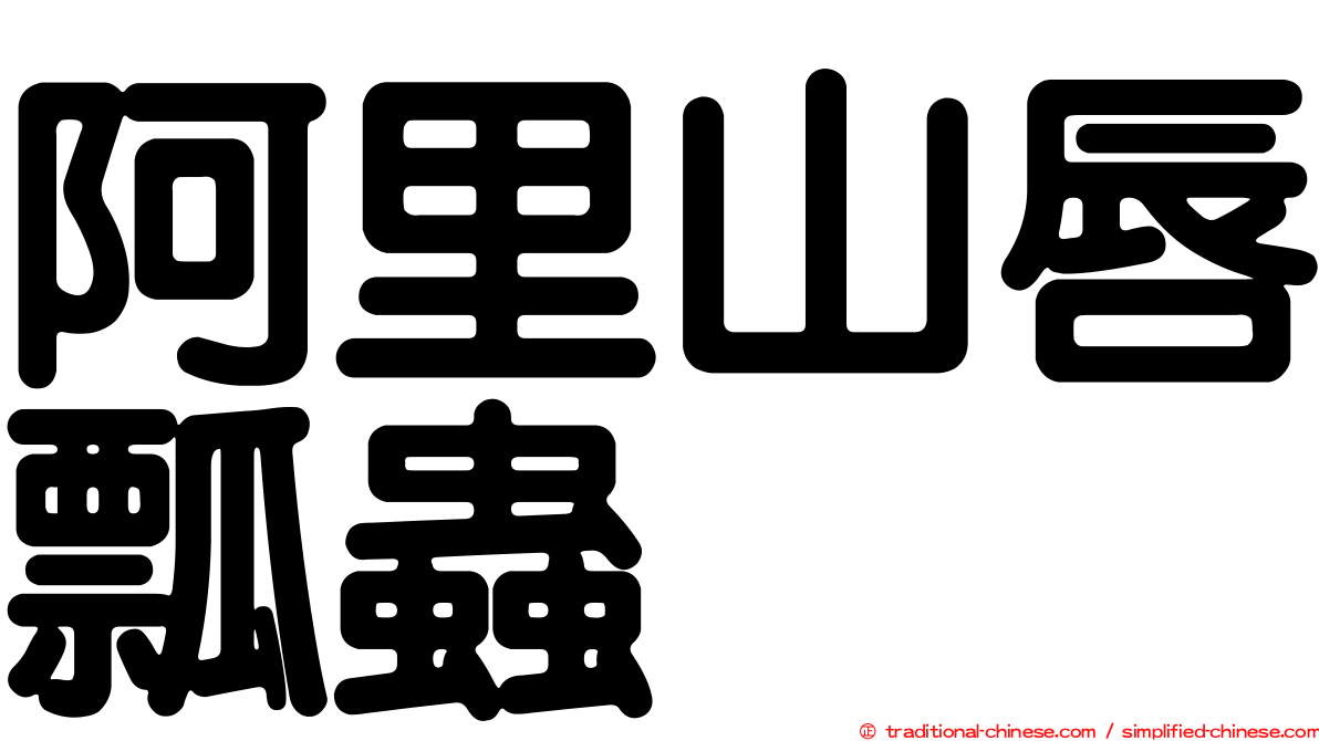 阿里山唇瓢蟲