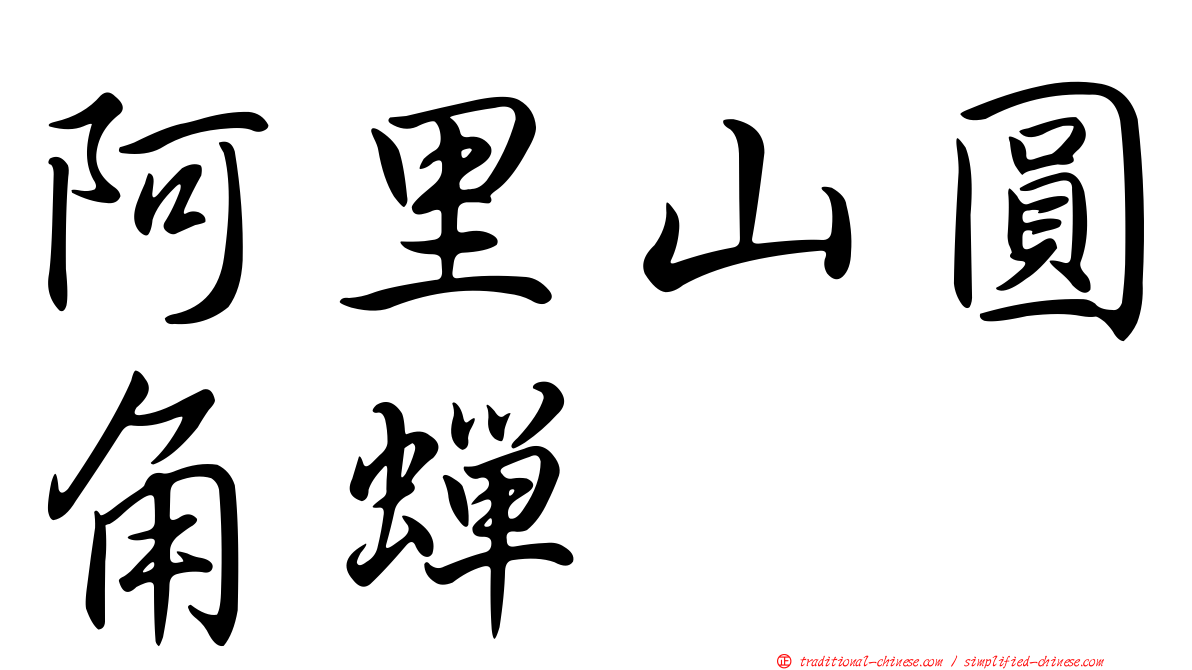 阿里山圓角蟬