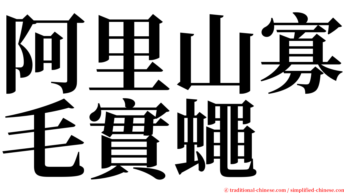 阿里山寡毛實蠅 serif font