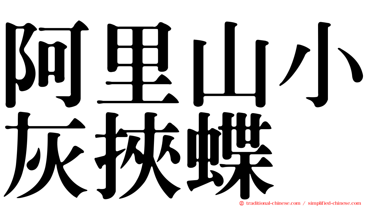 阿里山小灰挾蝶