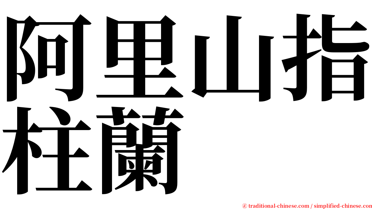 阿里山指柱蘭 serif font