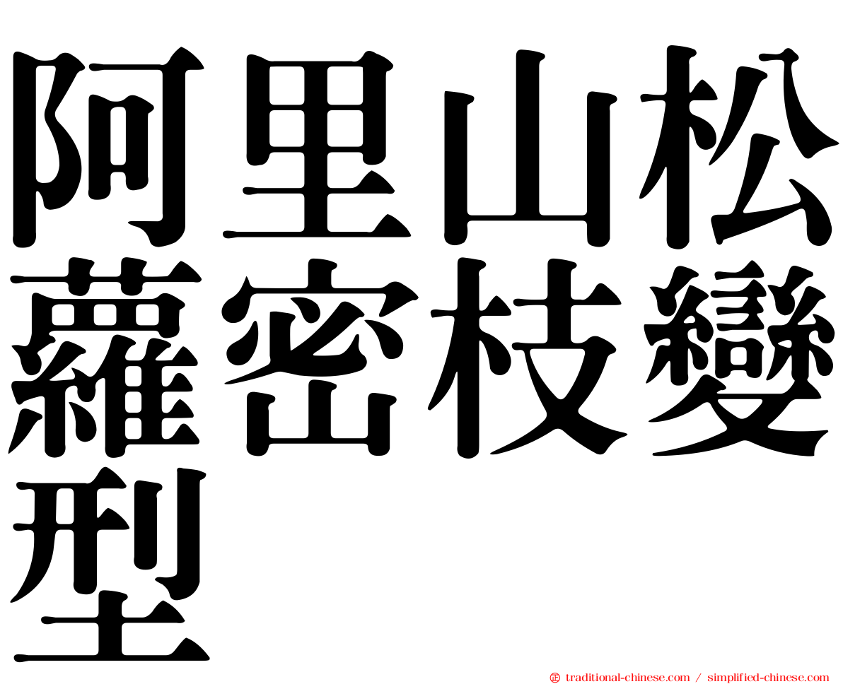 阿里山松蘿密枝變型