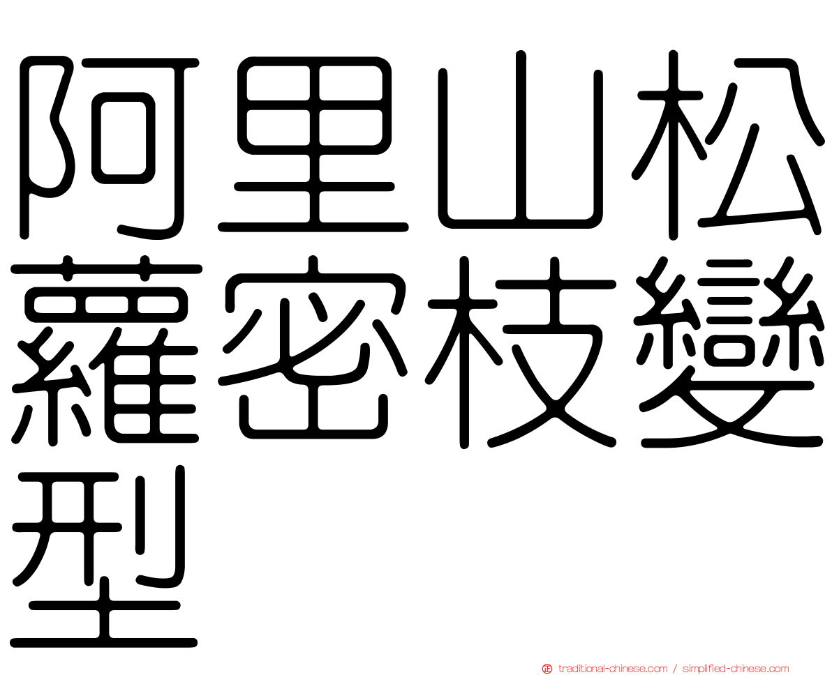 阿里山松蘿密枝變型