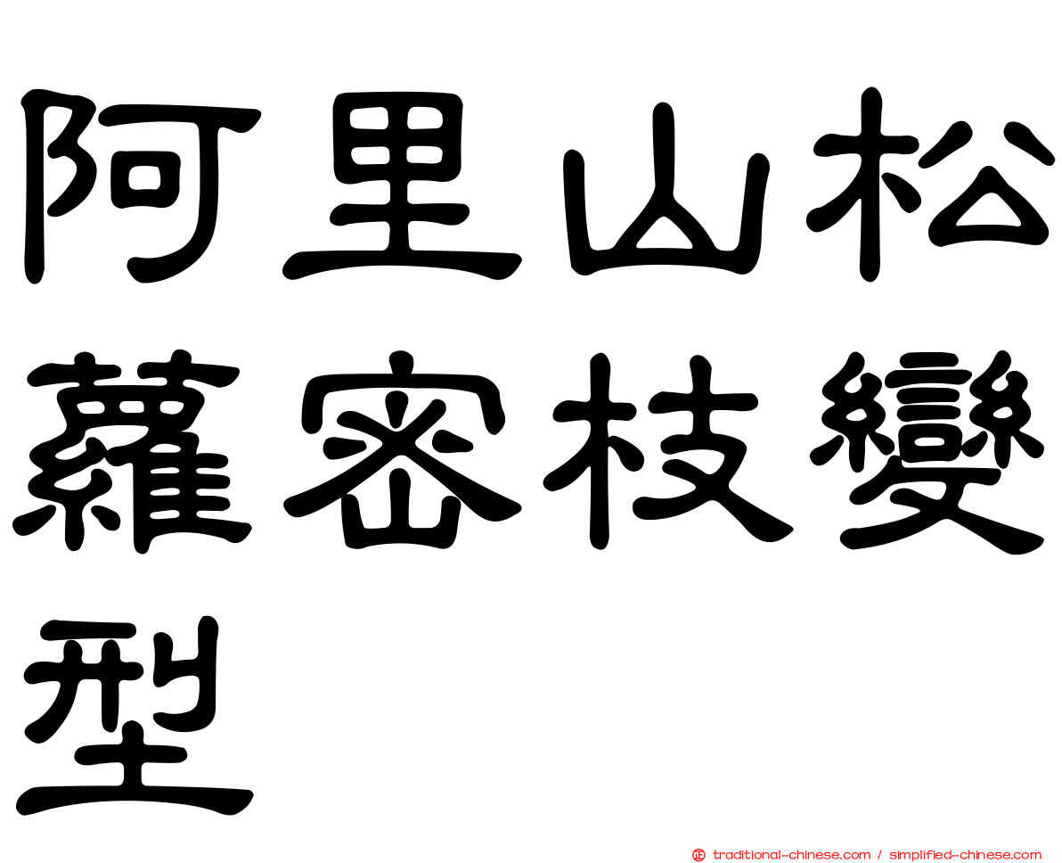 阿里山松蘿密枝變型