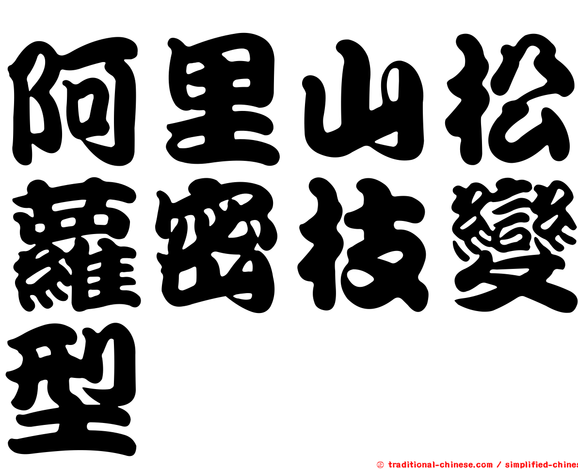 阿里山松蘿密枝變型