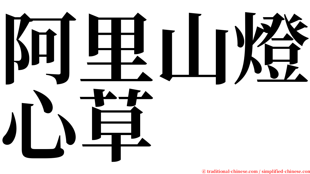 阿里山燈心草 serif font