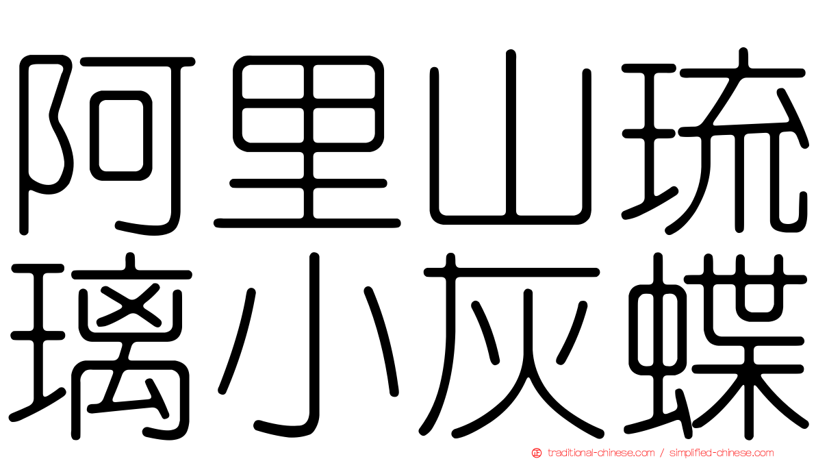 阿里山琉璃小灰蝶