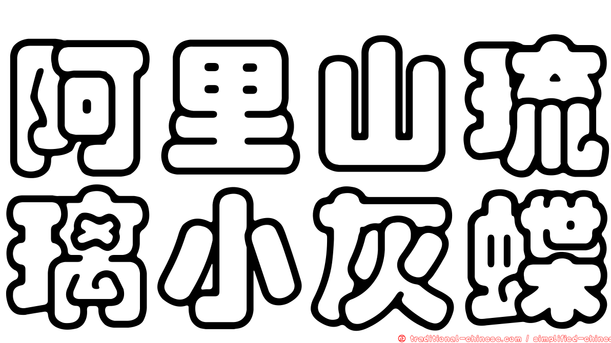 阿里山琉璃小灰蝶