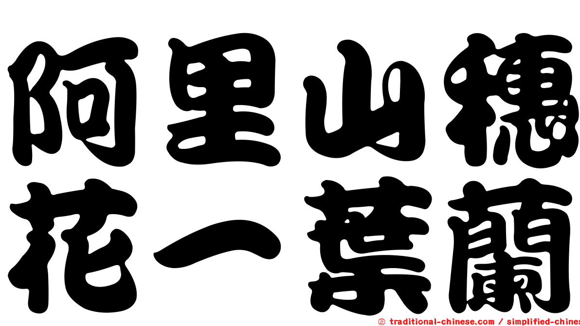 阿里山穗花一葉蘭