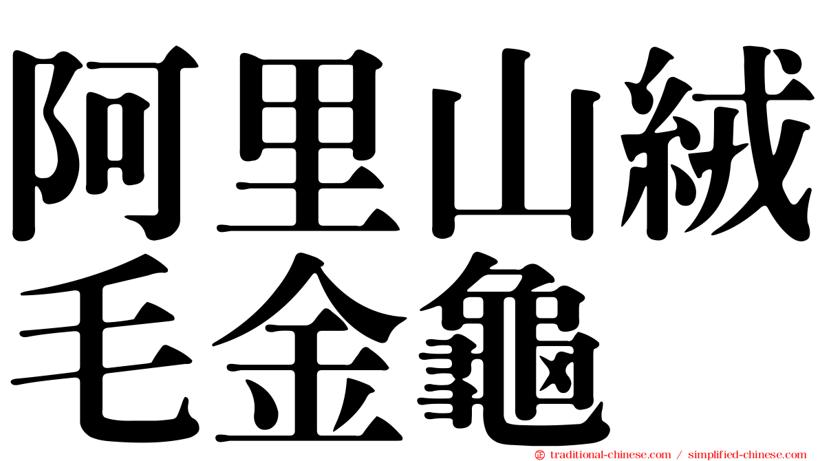 阿里山絨毛金龜