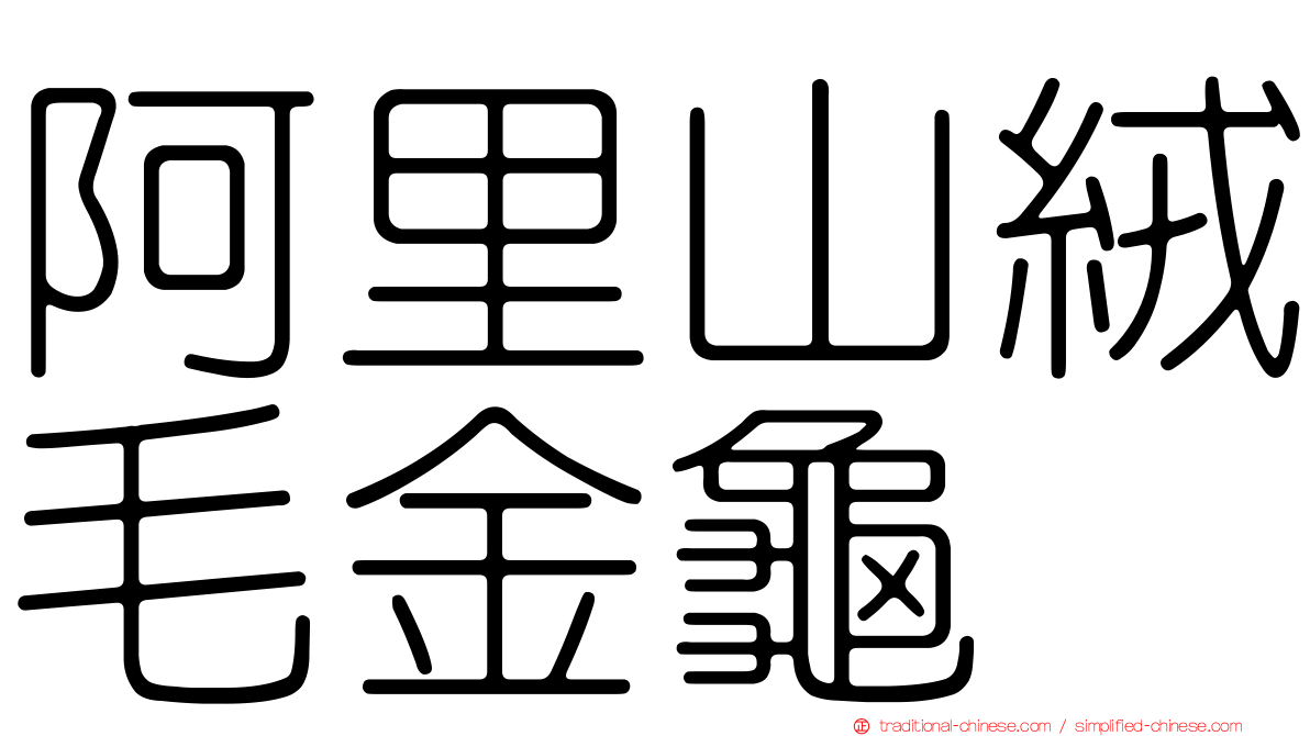 阿里山絨毛金龜