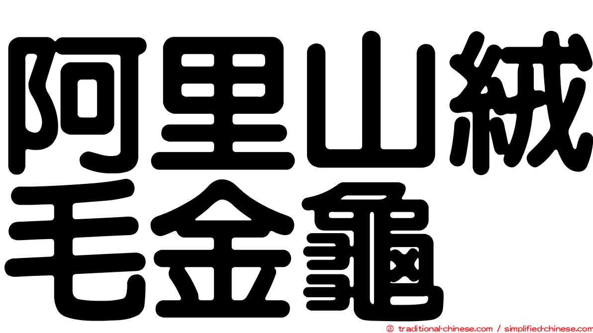 阿里山絨毛金龜