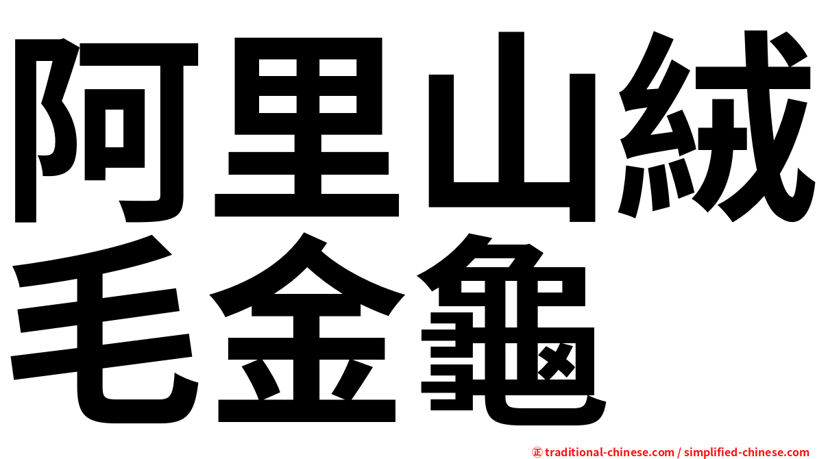 阿里山絨毛金龜