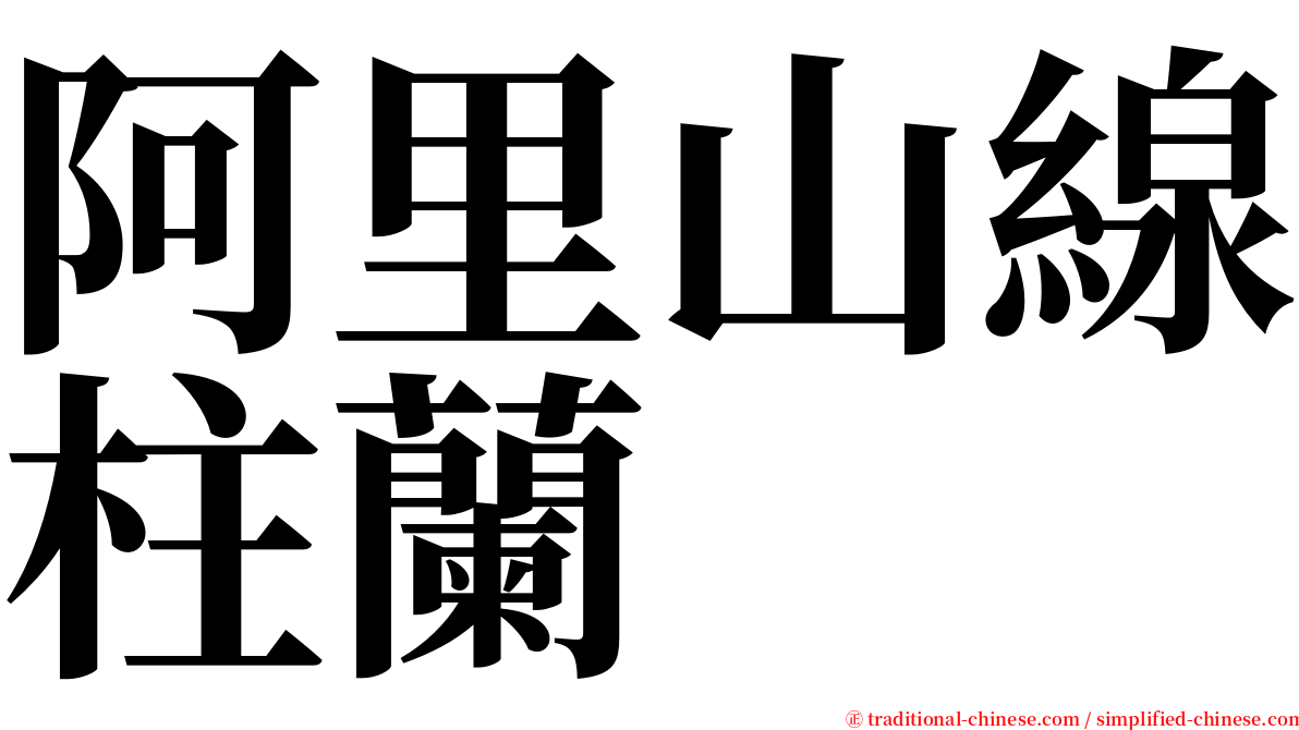 阿里山線柱蘭 serif font