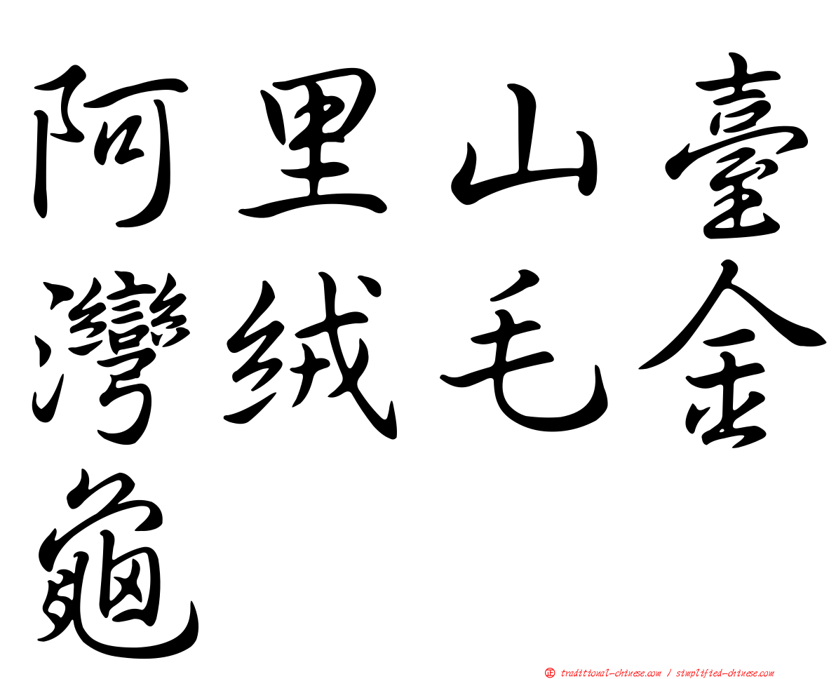 阿里山臺灣絨毛金龜