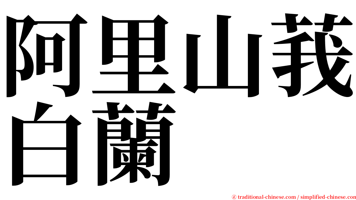 阿里山莪白蘭 serif font