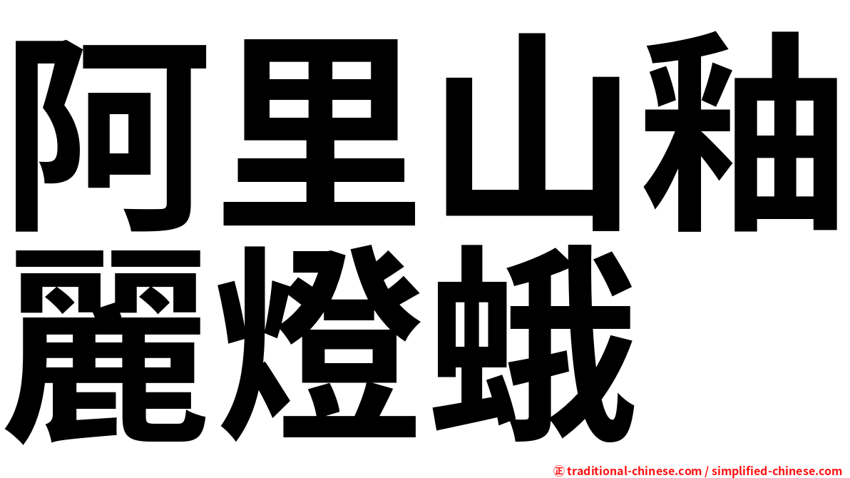 阿里山釉麗燈蛾