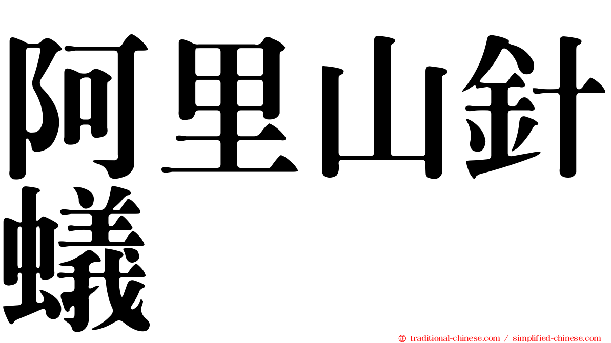 阿里山針蟻