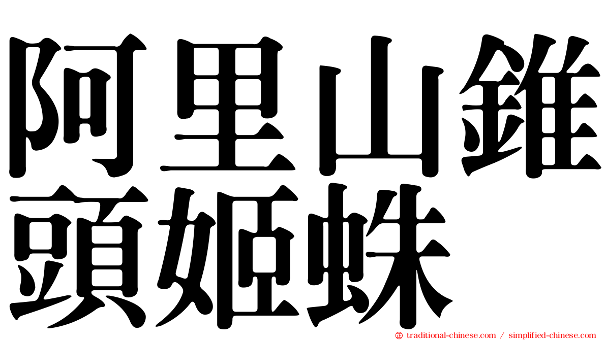 阿里山錐頭姬蛛