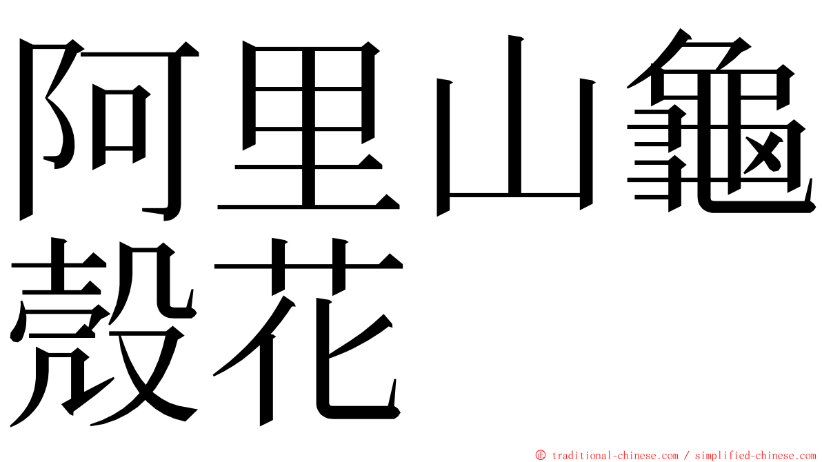 阿里山龜殼花 ming font