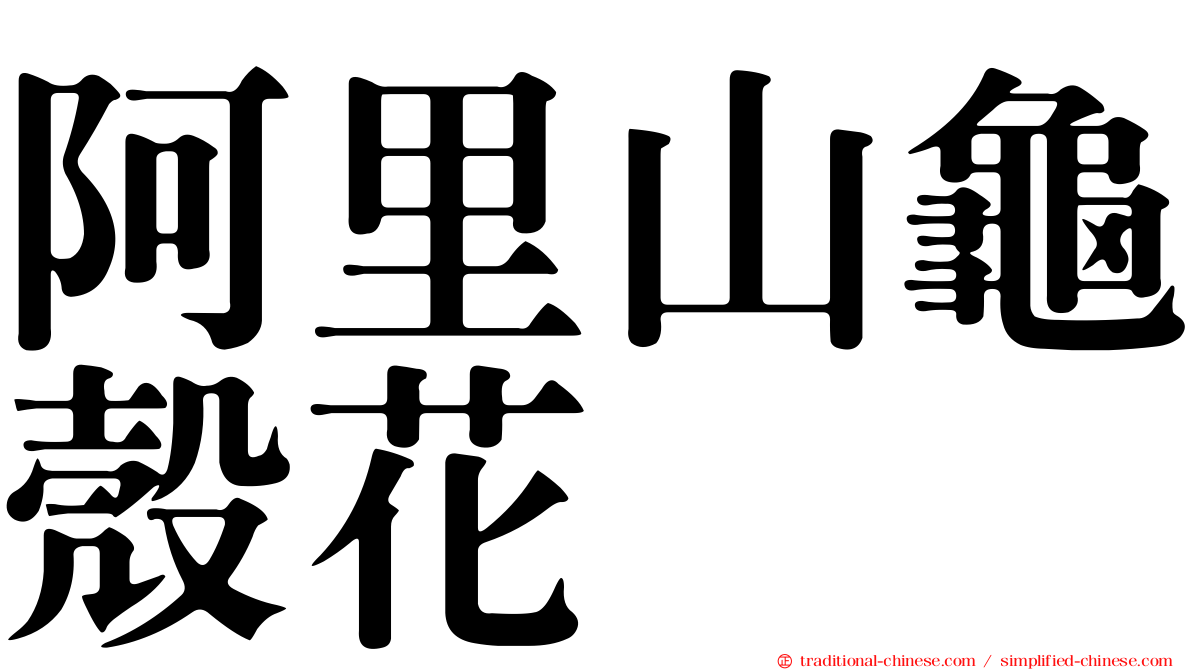 阿里山龜殼花