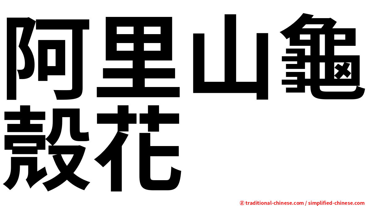 阿里山龜殼花