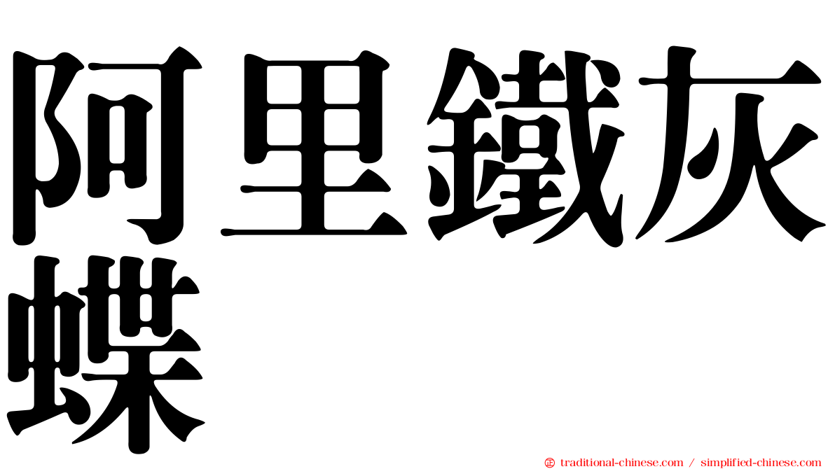 阿里鐵灰蝶