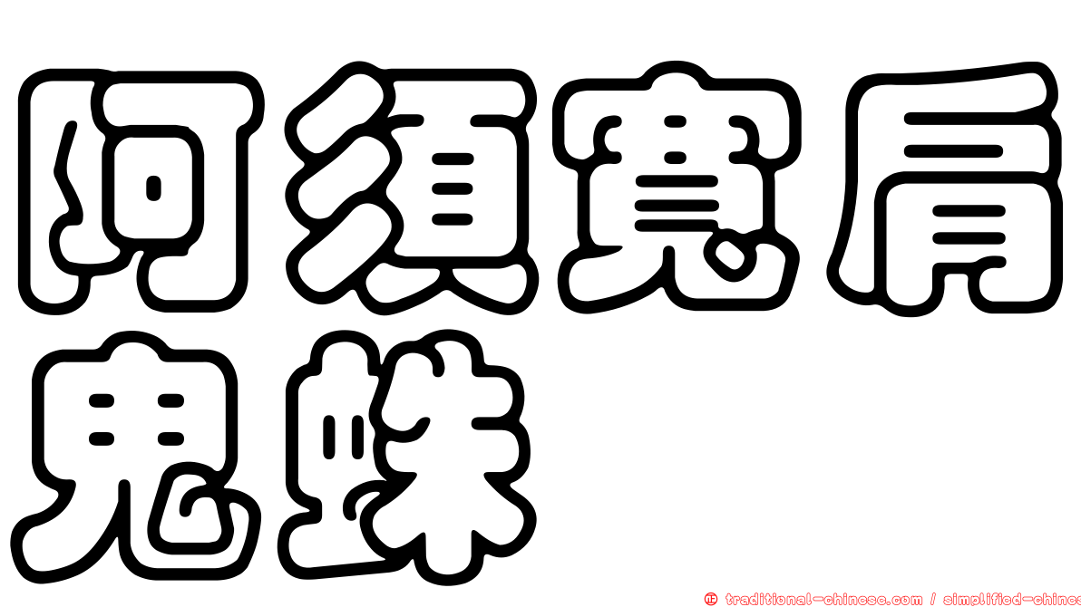 阿須寬肩鬼蛛
