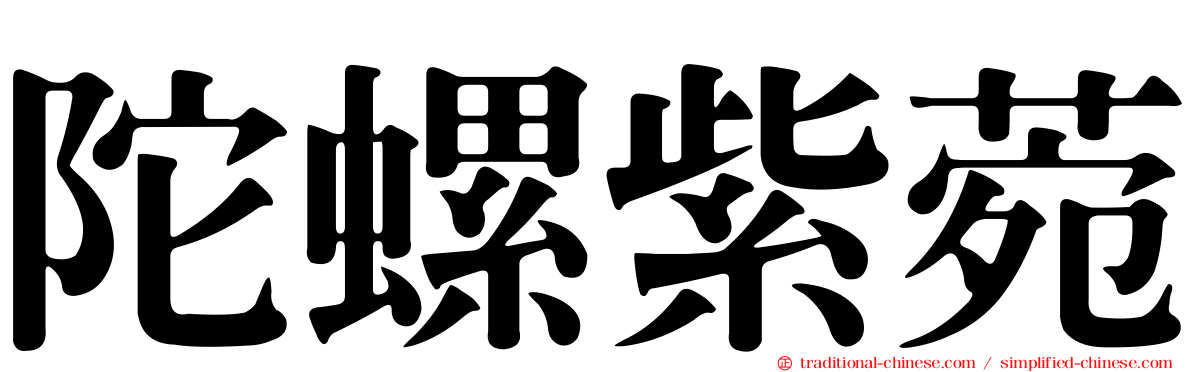 陀螺紫菀