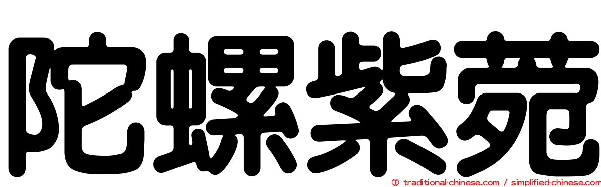 陀螺紫菀