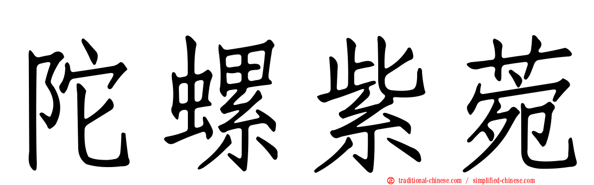 陀螺紫菀