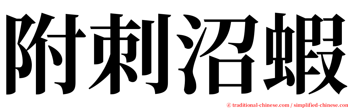 附刺沼蝦 serif font