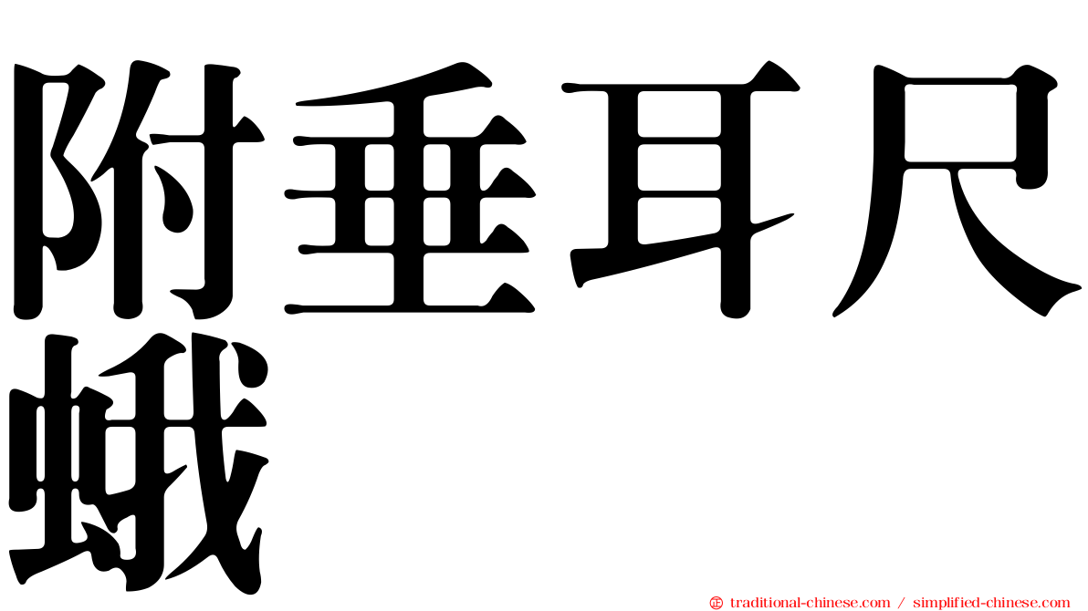 附垂耳尺蛾