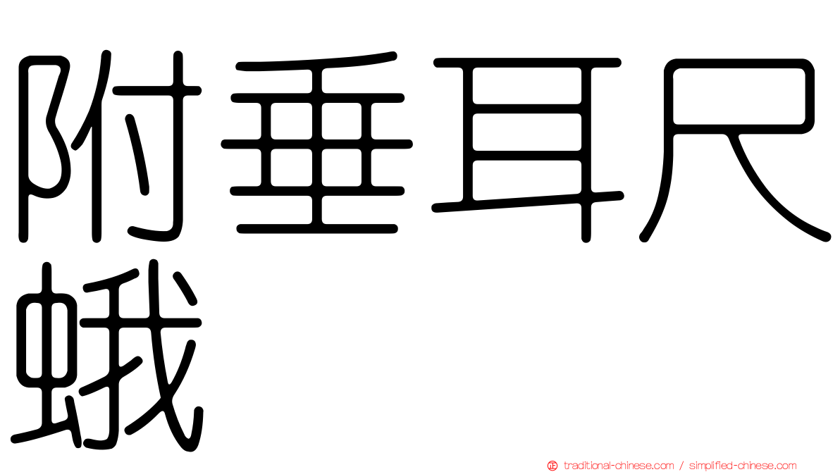 附垂耳尺蛾