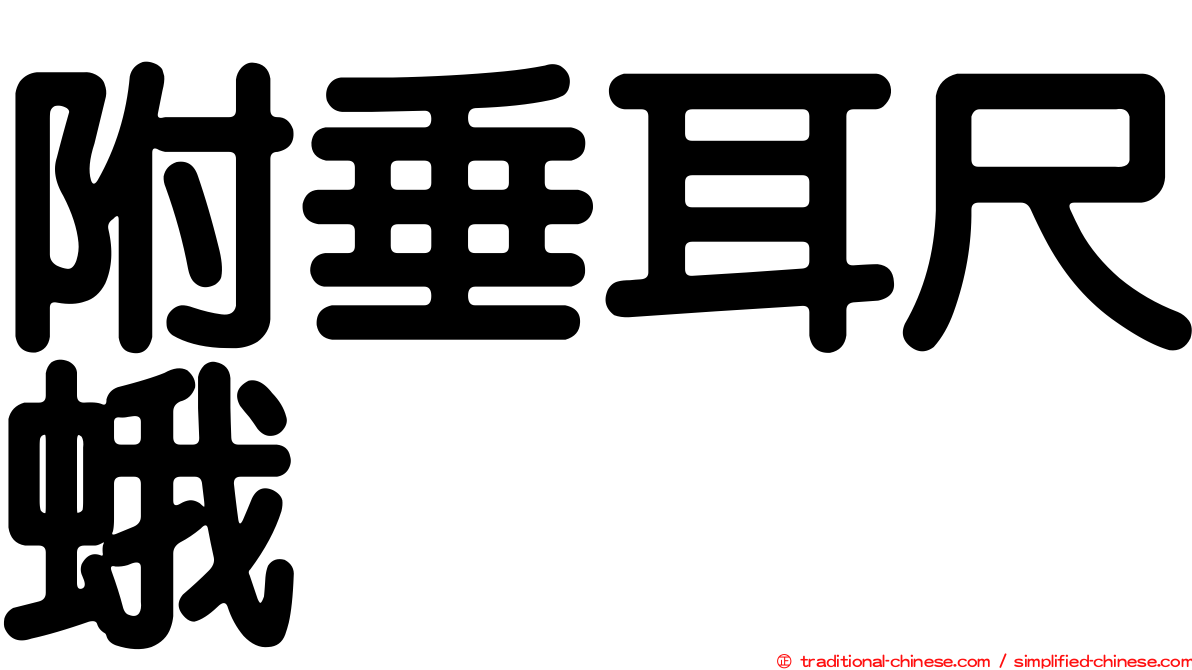 附垂耳尺蛾