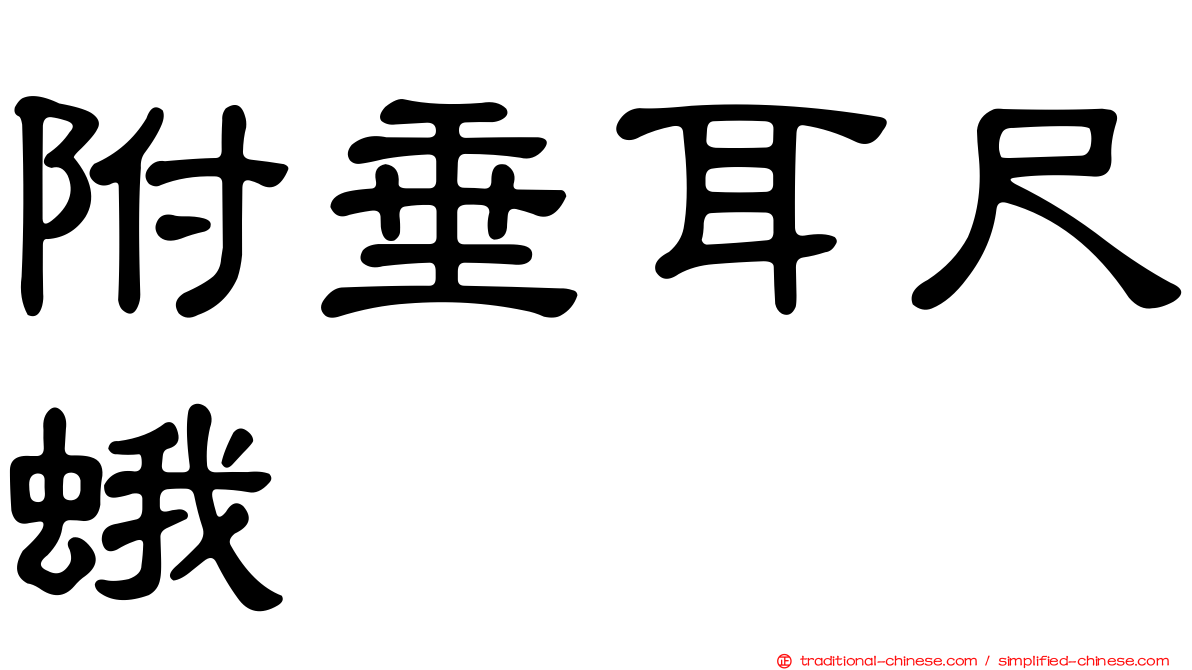附垂耳尺蛾