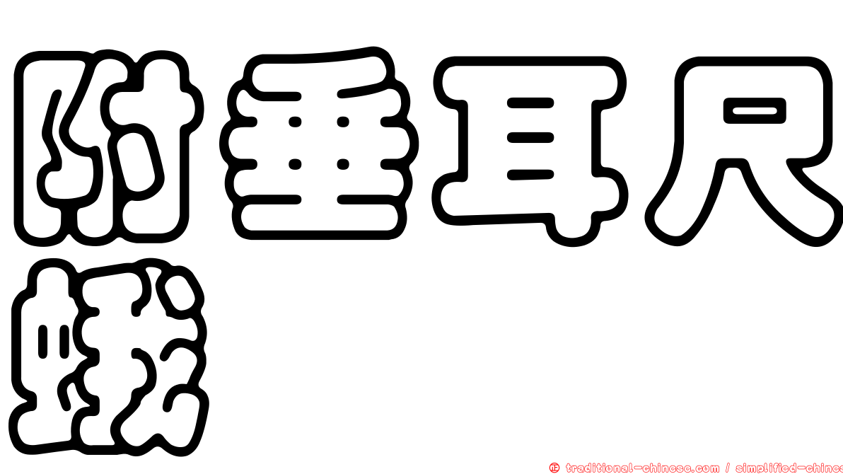 附垂耳尺蛾