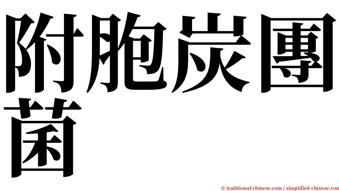 附胞炭團菌 serif font