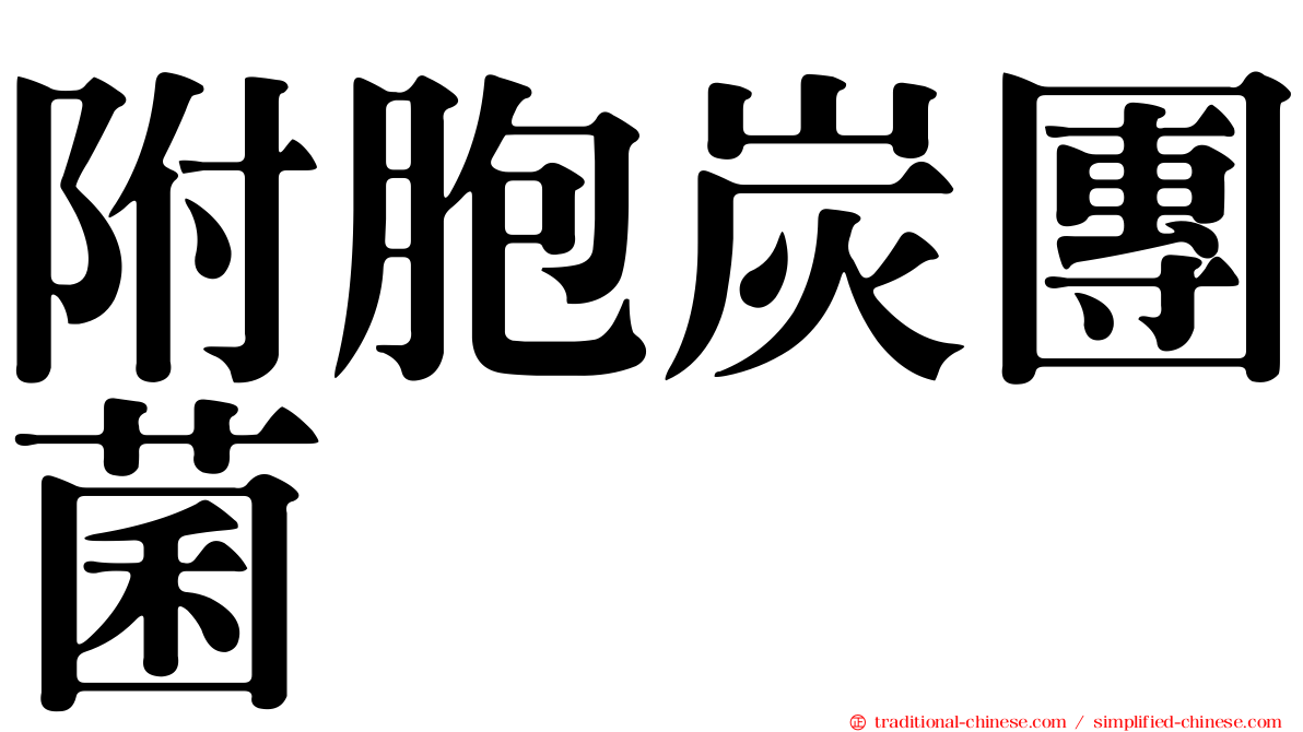 附胞炭團菌