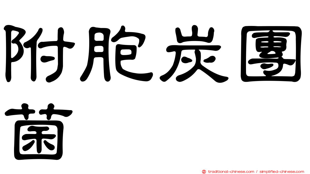 附胞炭團菌