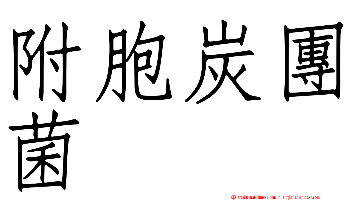 附胞炭團菌