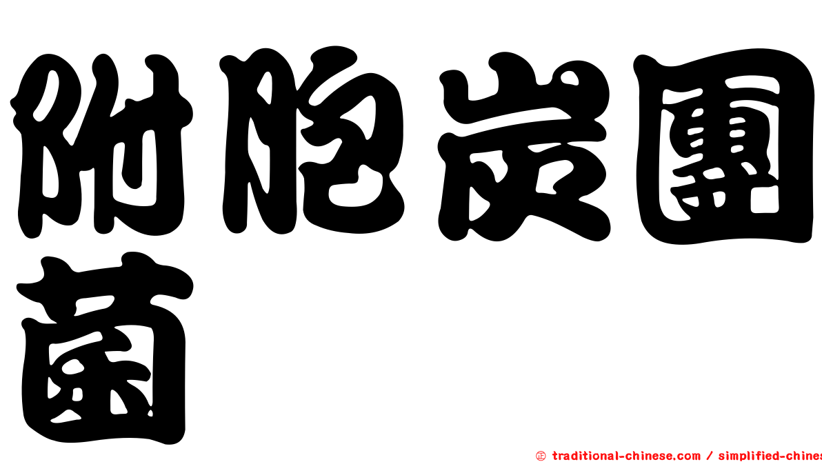 附胞炭團菌