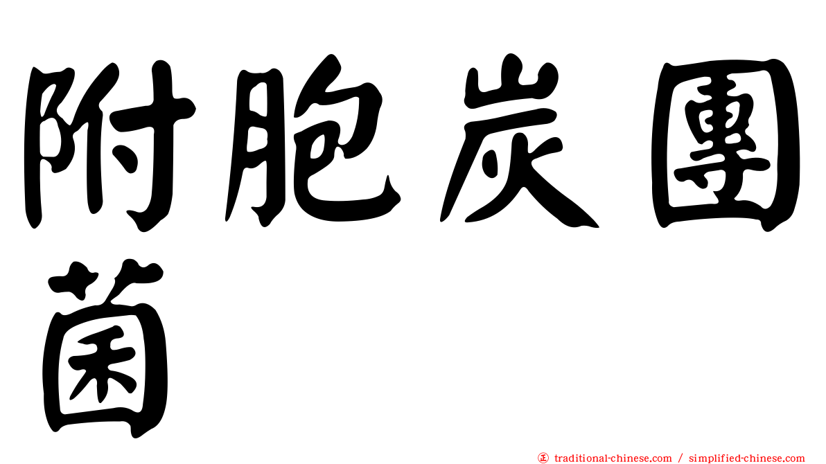 附胞炭團菌