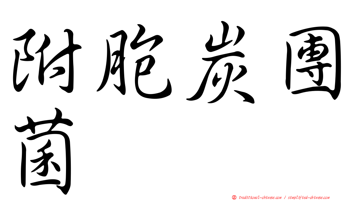 附胞炭團菌