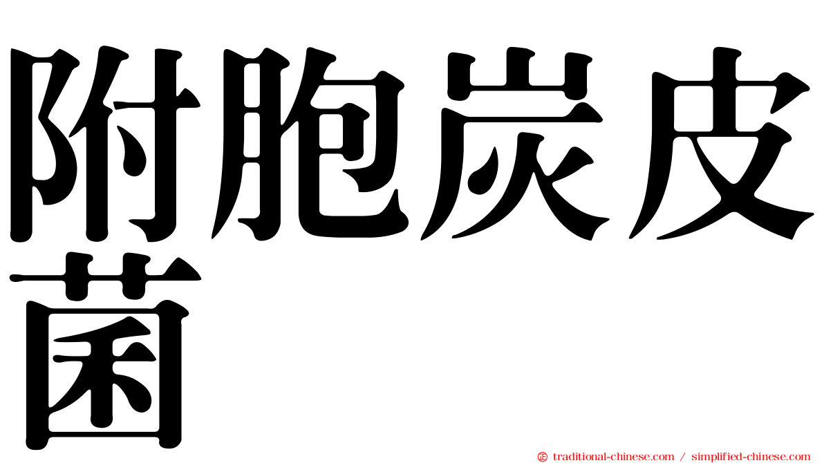 附胞炭皮菌