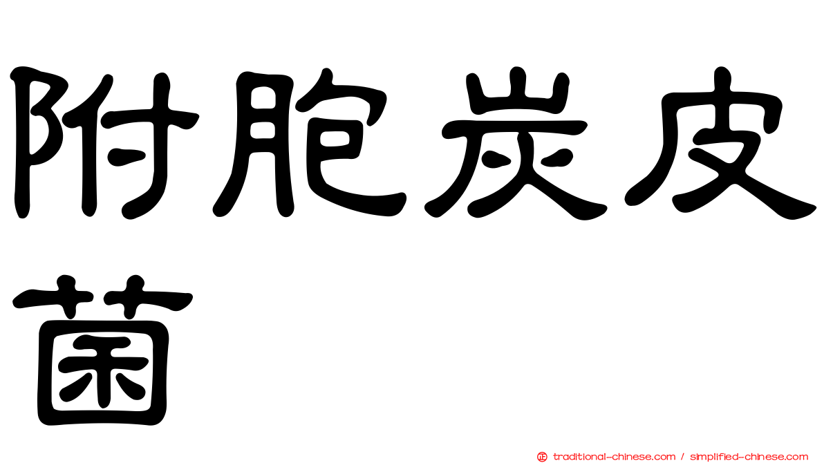 附胞炭皮菌